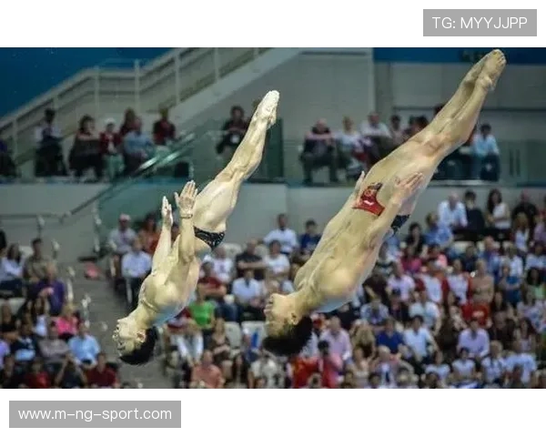 从勇敢一跃到完美入水探秘跳水运动员背后的力量与艺术