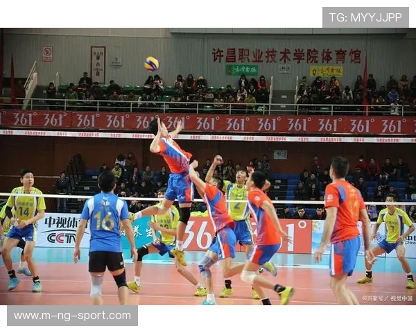 杭州排球队的团队协作精神与排球竞技的完美结合探讨