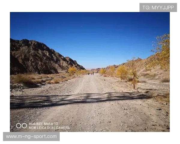 王静的王者荣耀之路：从新手到职业选手的成长与挑战