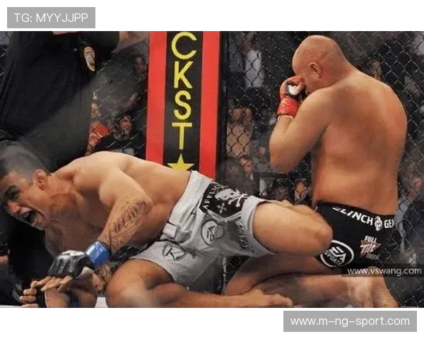 UFC温盾对决菲多精彩回顾与赛后分析揭示拳坛新格局